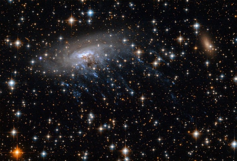 Галактика ESO 137-001: Медуза в космосе