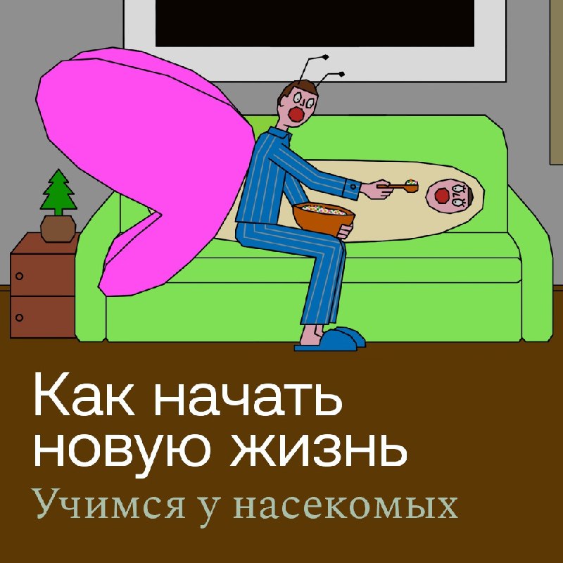 Как начать новую жизнь: советы и инструкции