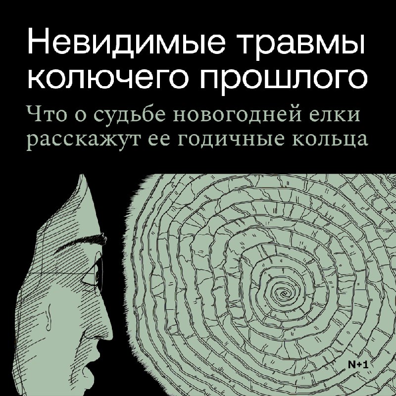 Годичные колечки новогодней елки: отражение судьбы
