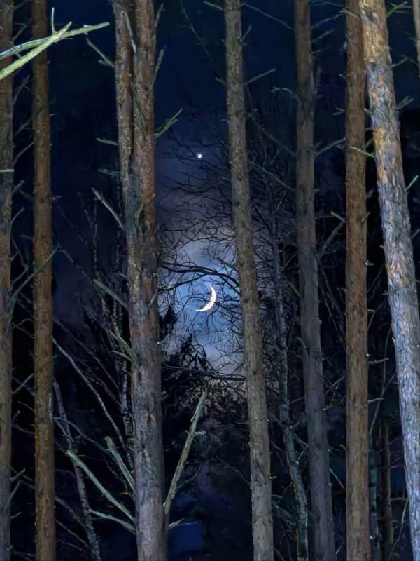 Удивительные снимки Луны и Венеры от фотографов