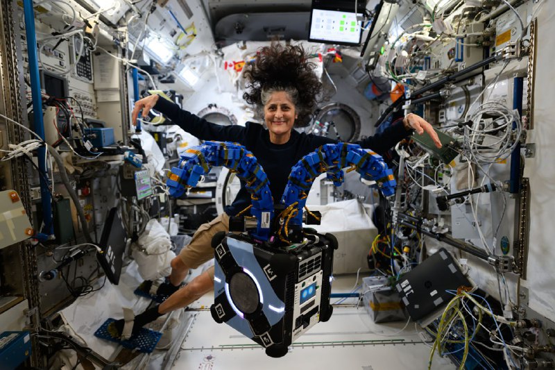 Лучшие космические снимки 2024 года от NASA