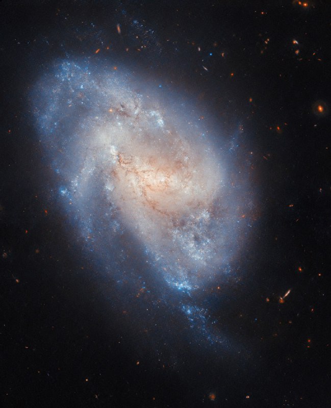 Открытие сверхновой в галактике NGC 337: фото от телескопа Hubble