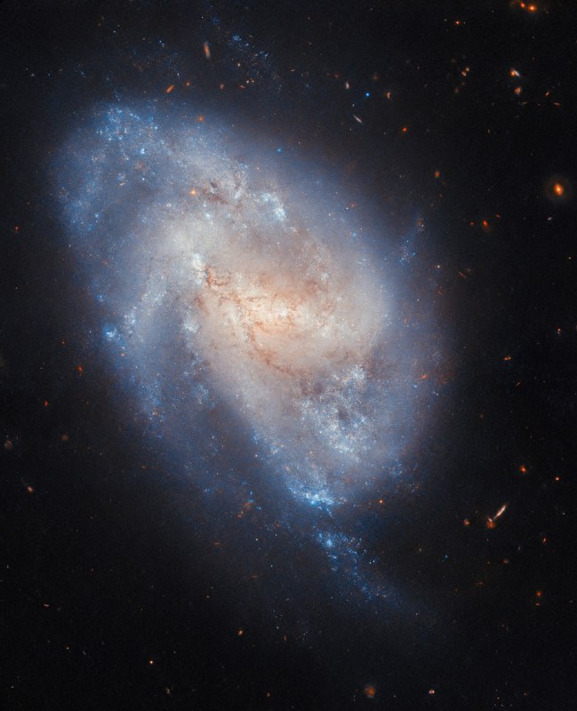 Фото спиральной галактики NGC 337 от телескопа Hubble