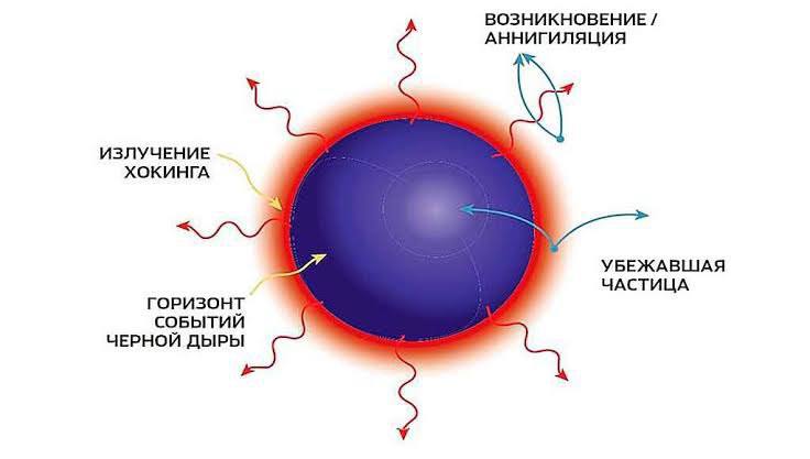 Влияние виртуальных частиц на черные дыры