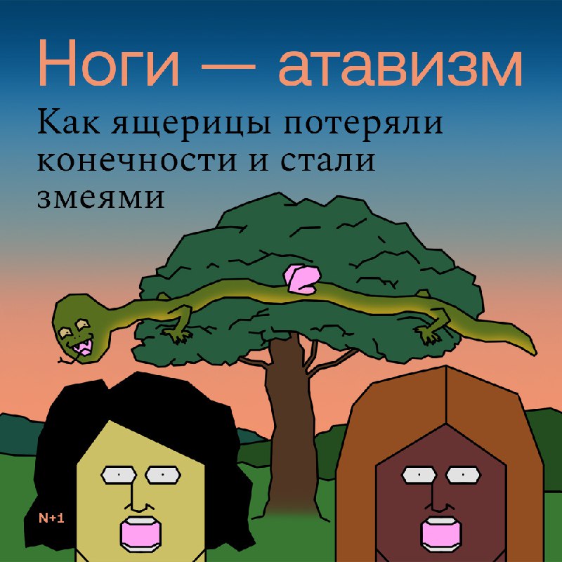 Тайны безногих змей: их происхождение и эволюция