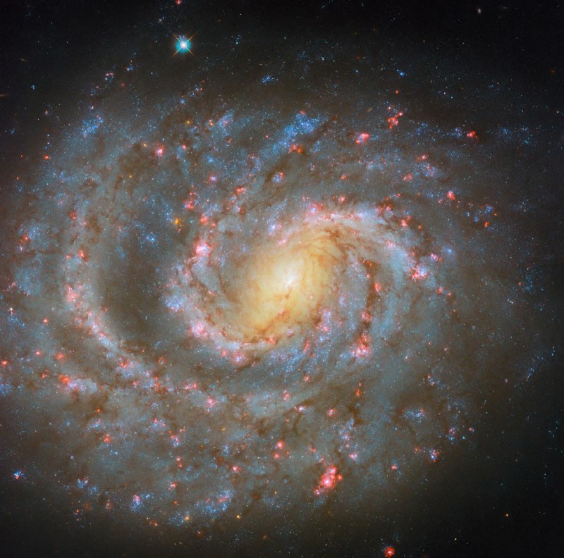 Новое открытие в космосе: спиральная галактика NGC 1637