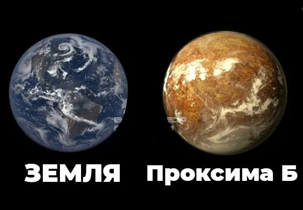 Жизнь на Проксиме Центавра и Земля: взгляд с другой стороны