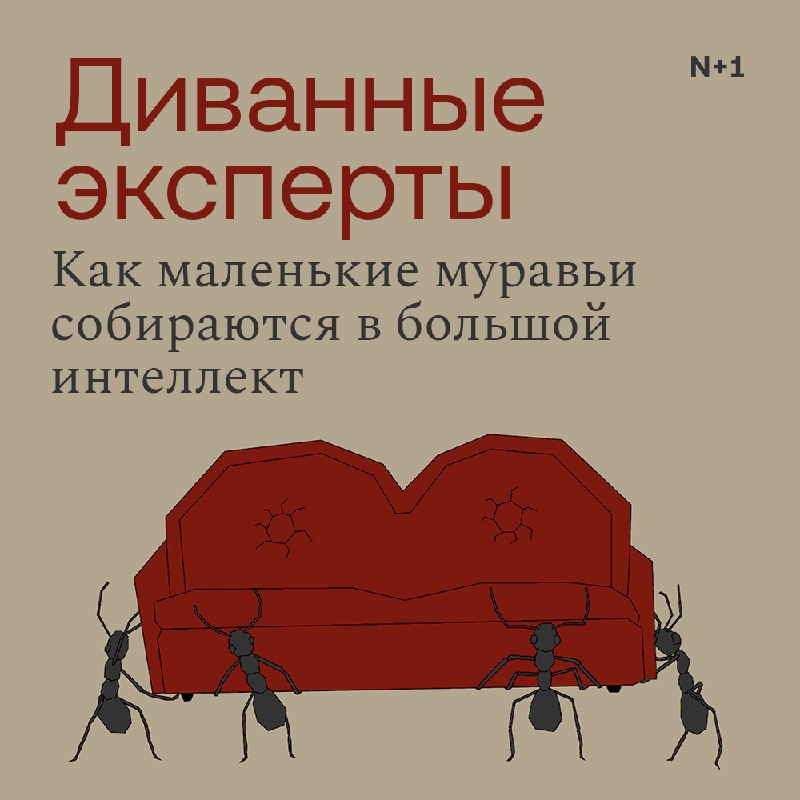 Феномен коллективного интеллекта у муравьев