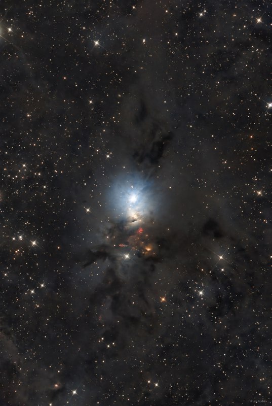 NGC 1333: Отражательная туманность в созвездии Персея