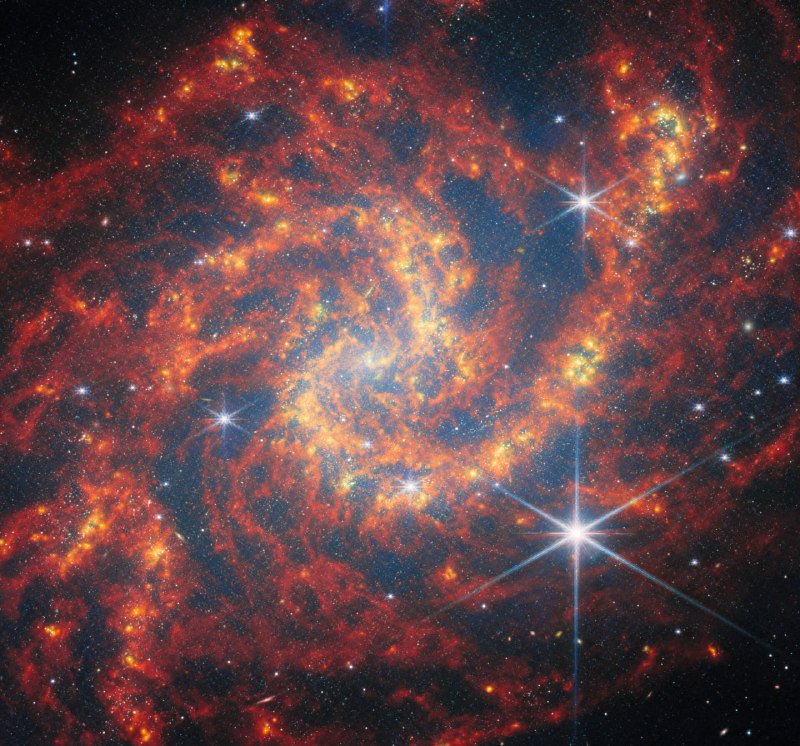 Уэбб и галактика NGC 2283