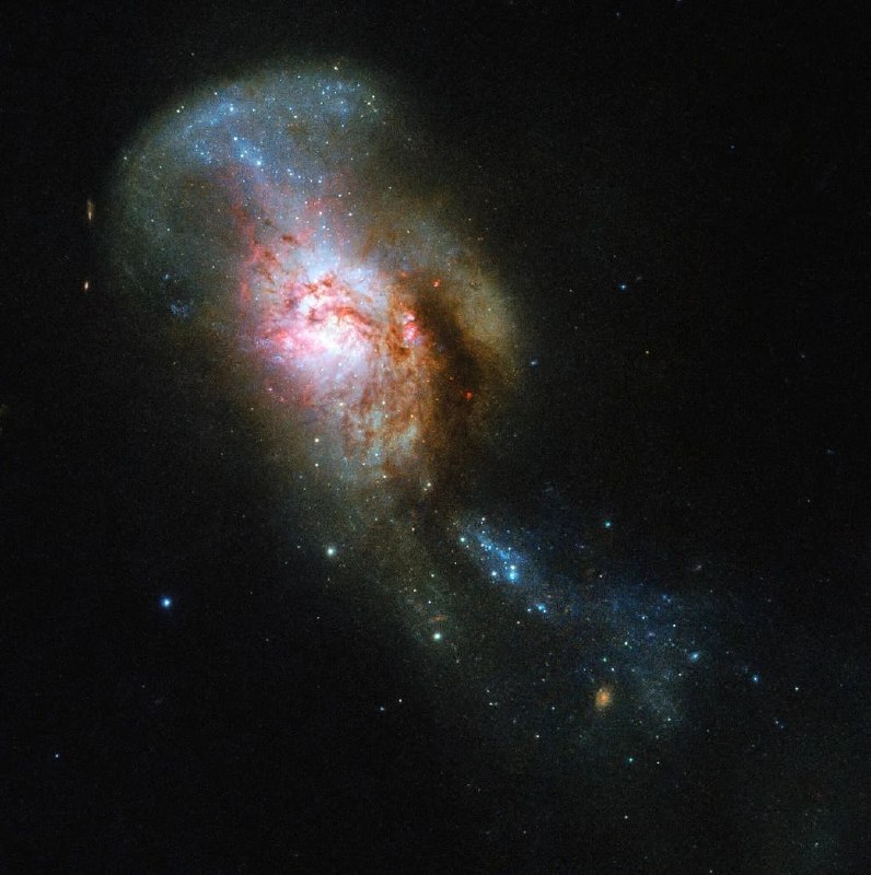 Звёздное слияние в галактике NGC 4194