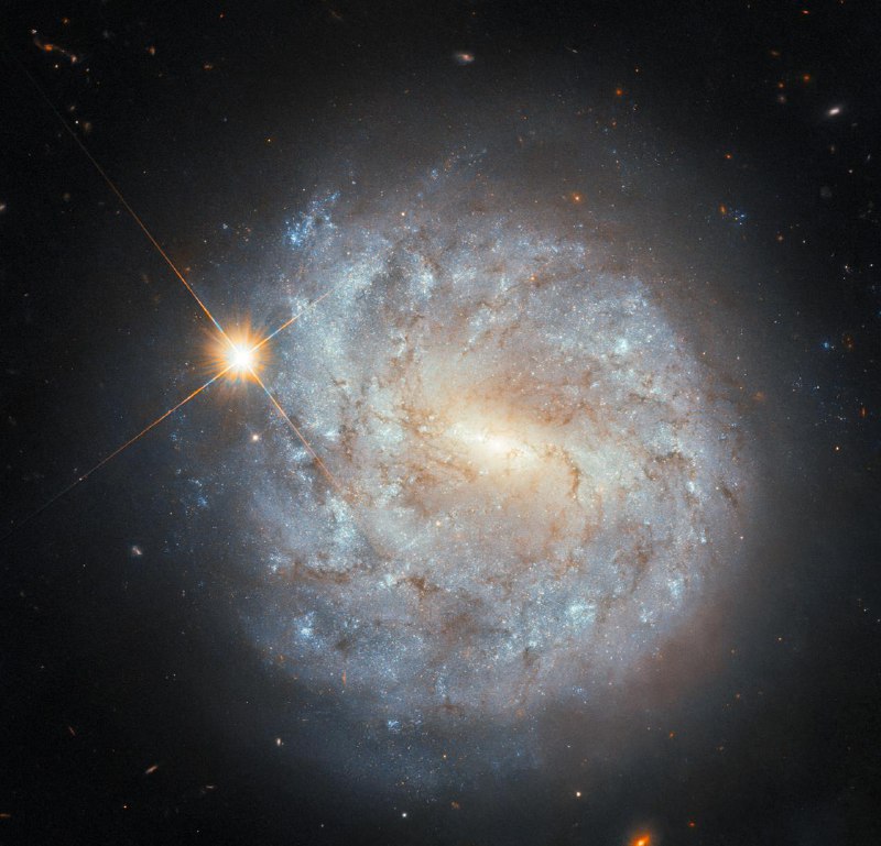 Удивительное открытие: спиральная галактика NGC 4900