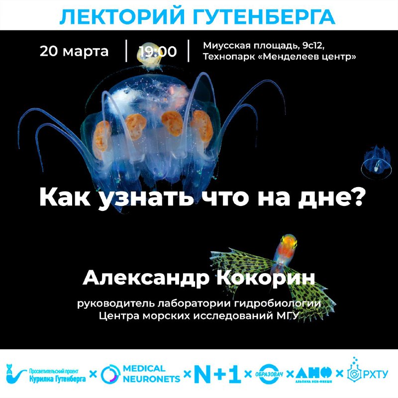 Тайны морских глубин: лекции о жизни под водой