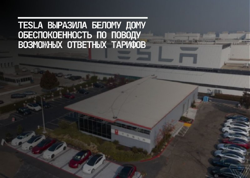 Tesla против тарифов: угроза для автомобильной промышленности США