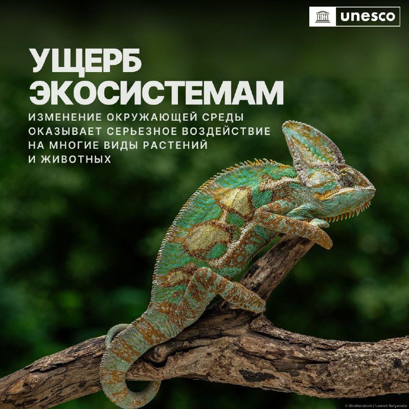 Исчезновение ледников: угроза для водных ресурсов