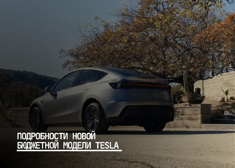 Новая бюджетная модель Tesla: что ожидать?