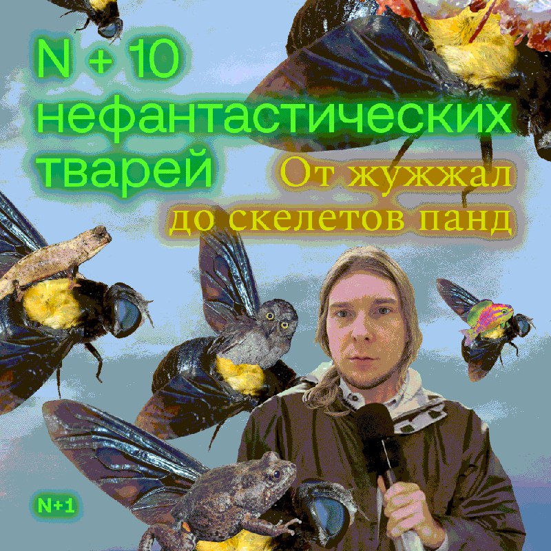 Итоги десятилетия открытия новых видов животных