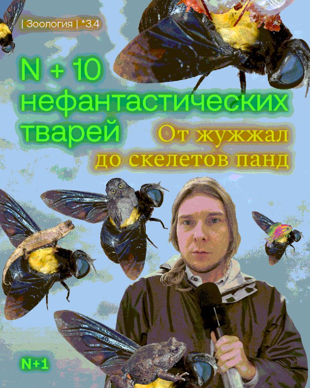 Лучшие открытия новых видов животных за десять лет публикаций