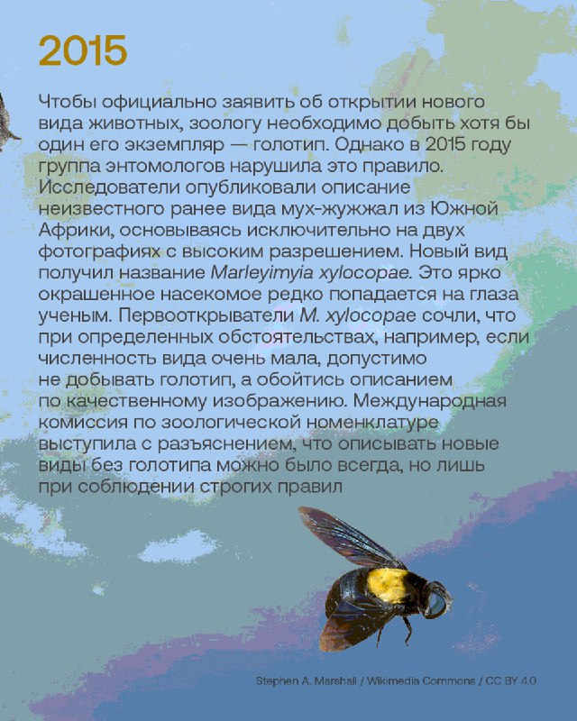 Лучшие открытия новых видов животных за десять лет публикаций