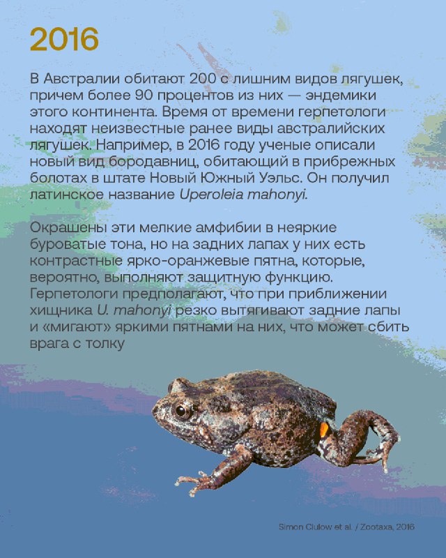 Лучшие открытия новых видов животных за десять лет публикаций