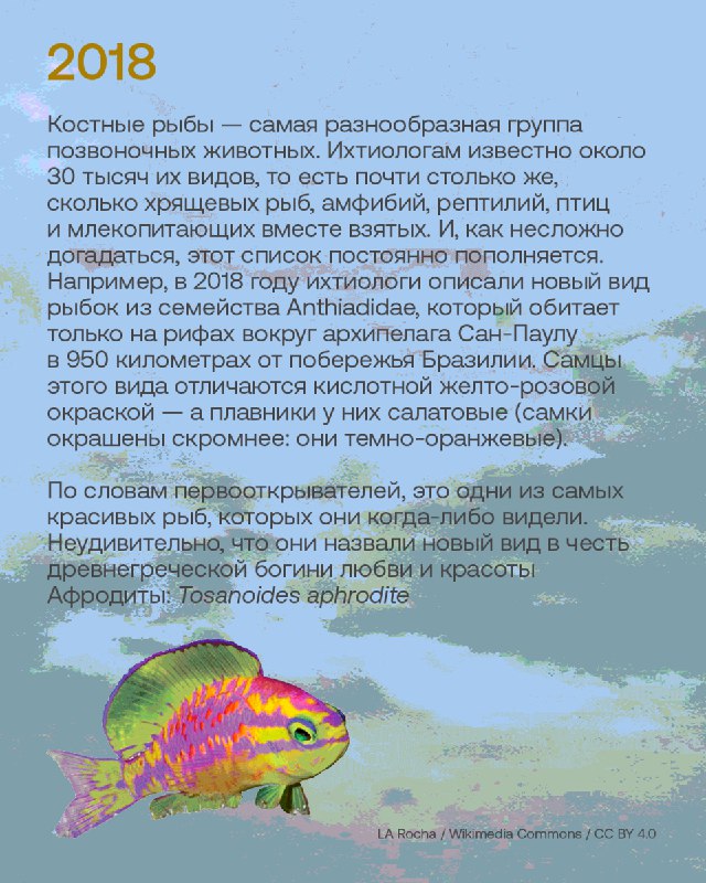 Лучшие открытия новых видов животных за десять лет публикаций