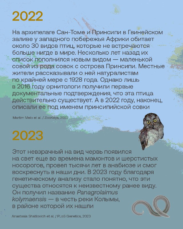 Лучшие открытия новых видов животных за десять лет публикаций