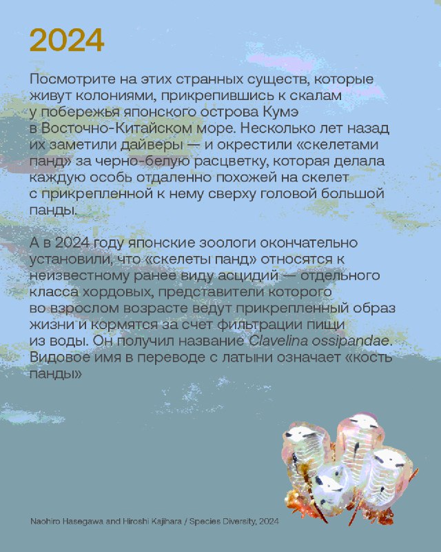 Лучшие открытия новых видов животных за десять лет публикаций