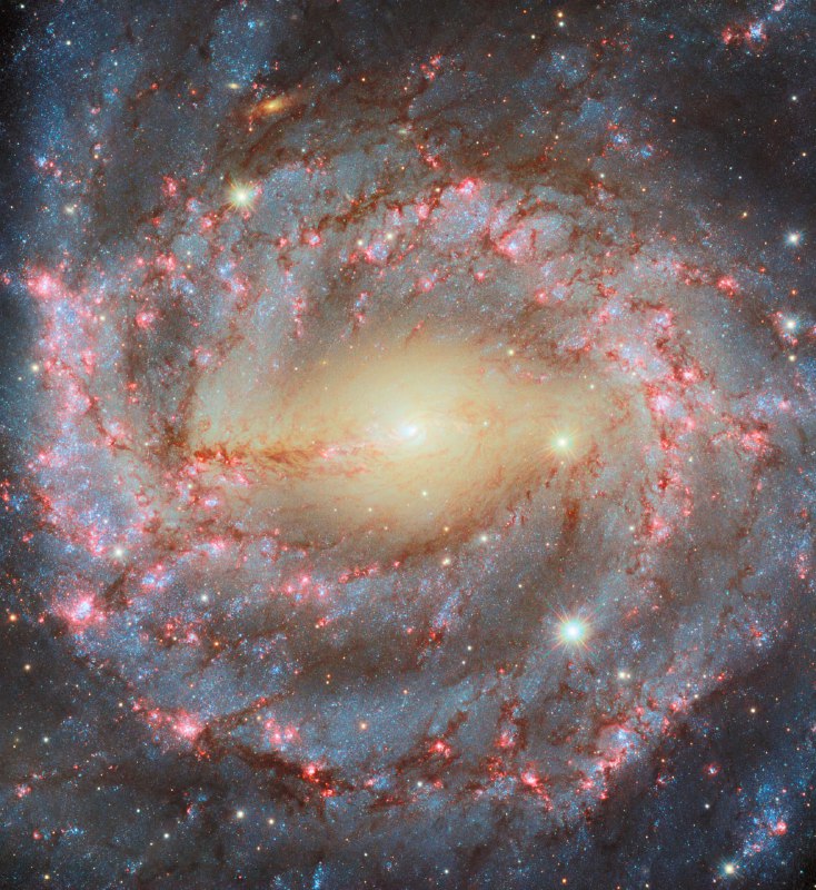 Изображение галактики NGC 5643 с телескопа Хаббл: структура и особенности
