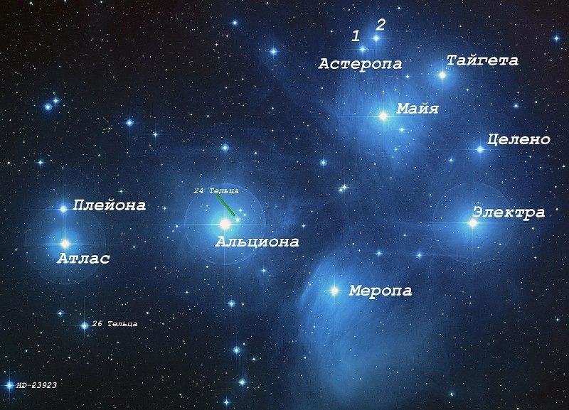 Загадка и наблюдения Плеяд: древнее звездное скопление