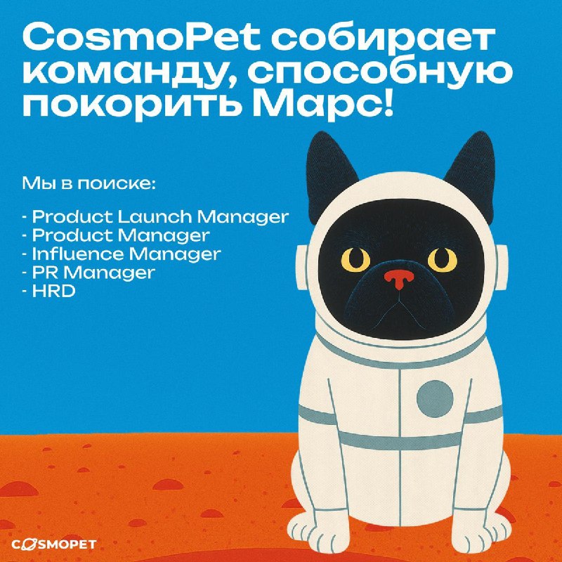 Инновационный подбор персонала: как CosmoPet ищет сотрудников без традиционных методов