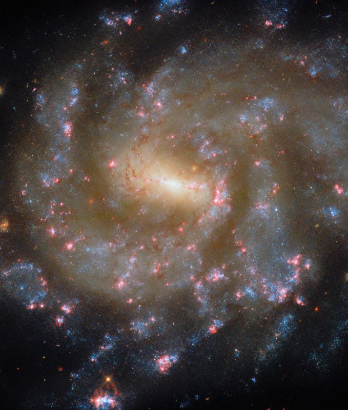 Новый снимок галактики NGC 685 с обсерватории Хаббл