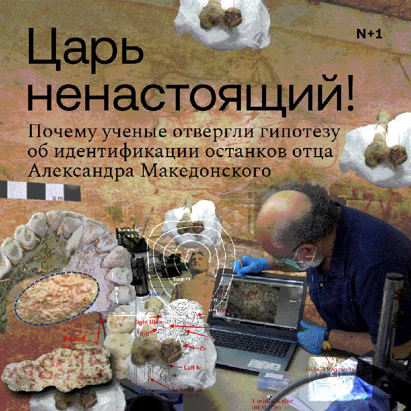 Обновление данных о похоронной усыпальнице Филиппа II: новые исследования и сомнения в предыдущих гипотезах