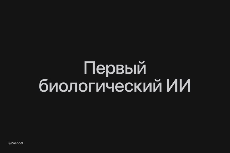 Создан первый живой искусственный интеллект, решающий генетические задачи