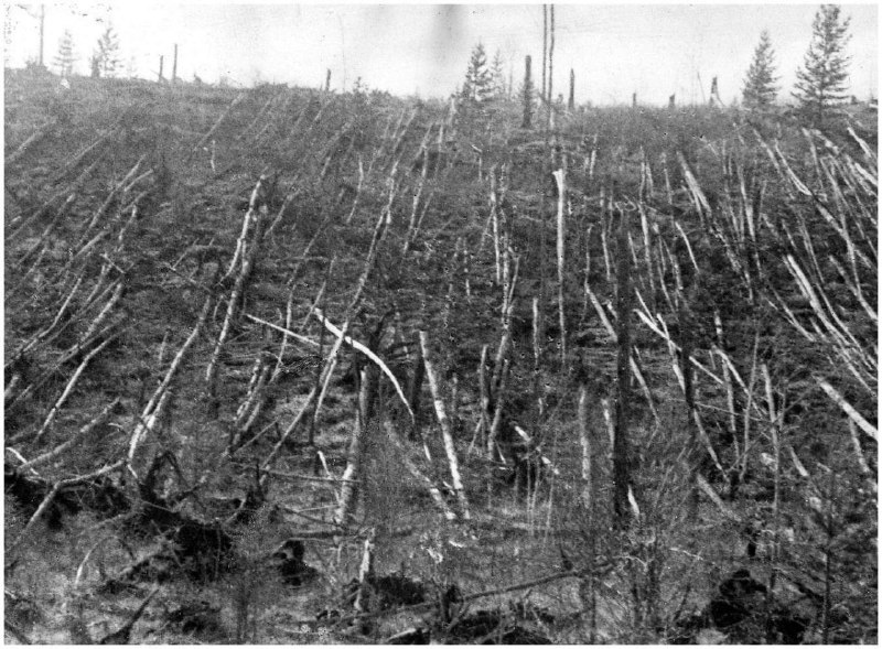 117 лет со дня загадочного Тунгусского взрыва: тайна космической трагедии