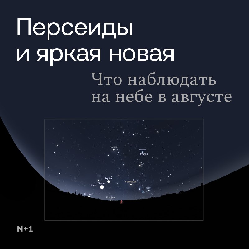 Астрономические события августа: как наблюдать небо и не пропустить метеориты и планеты