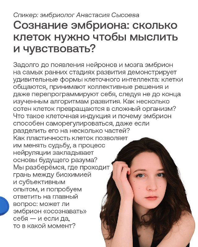 Масштабный ИТ-лагерь в парке «Коломенское»: лекции, дискуссии и развлекательные мероприятия
