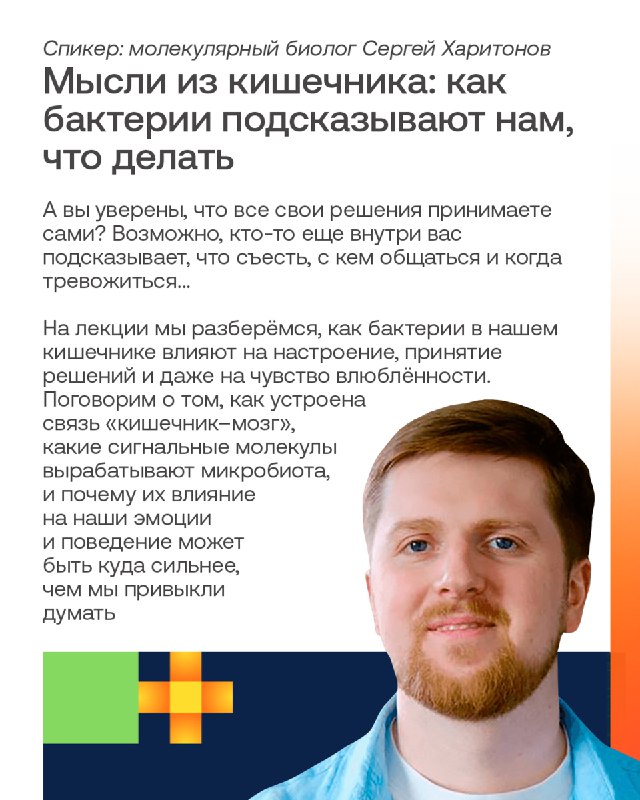 Масштабный ИТ-лагерь в парке «Коломенское»: лекции, дискуссии и развлекательные мероприятия