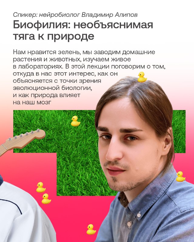 Масштабный ИТ-лагерь в парке «Коломенское»: лекции, дискуссии и развлекательные мероприятия