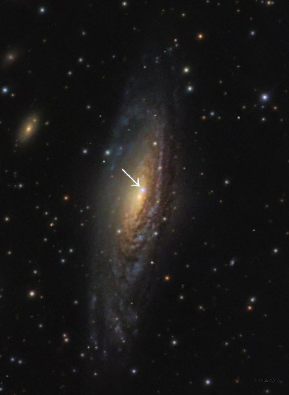 Обнаружение сверхновой 2025 в галактике NGC 7331
